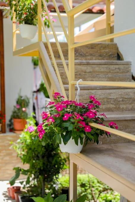 Cereni Guesthouse Berat Exterior photo